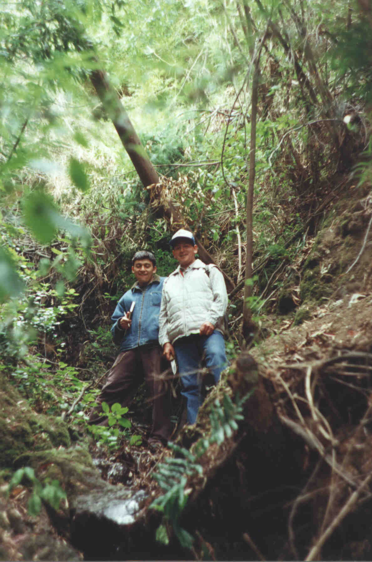 JRCONTULMO.jpg (160779 bytes)